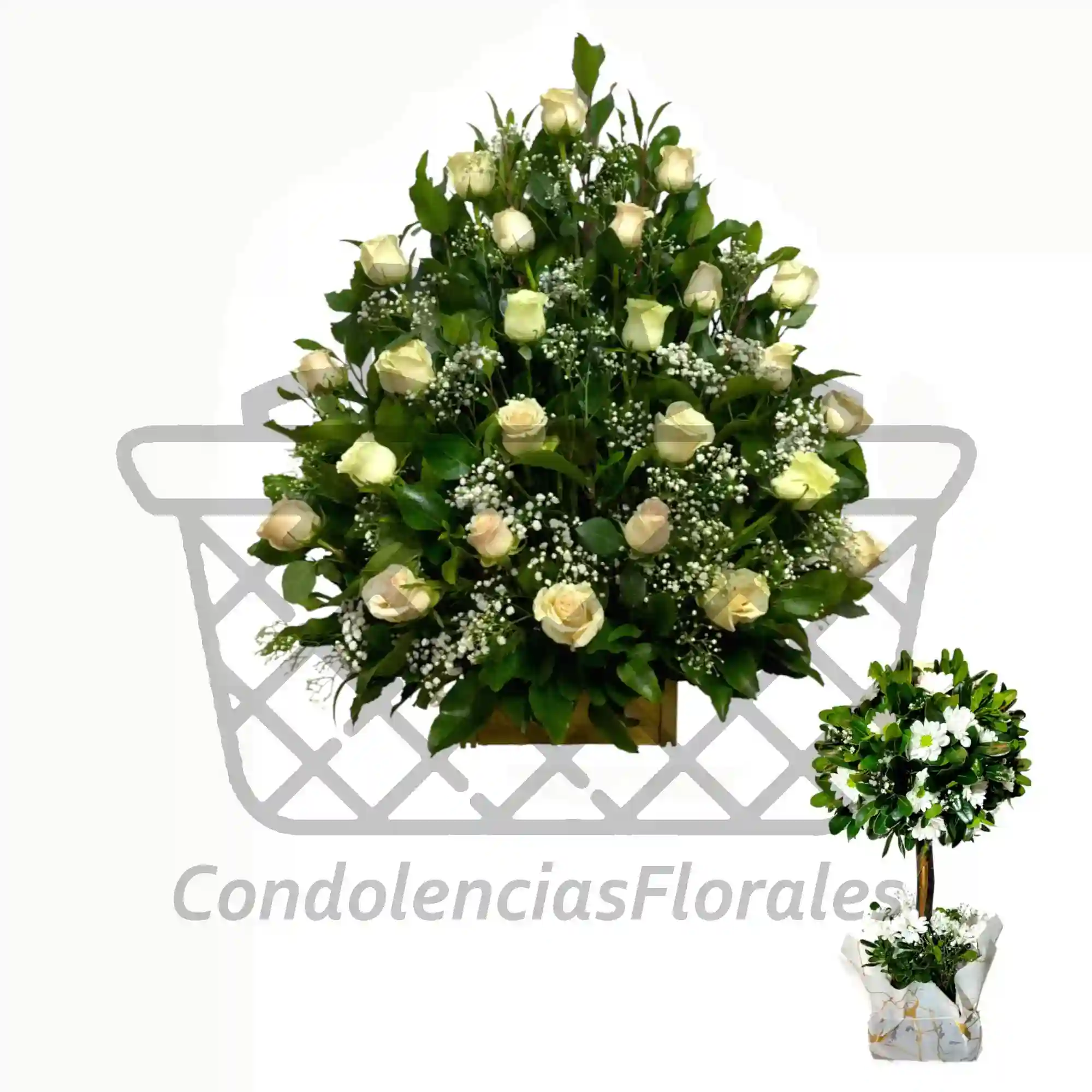 Pack de condolencias Arrimo de 25 rosas y árbol en blanco 4