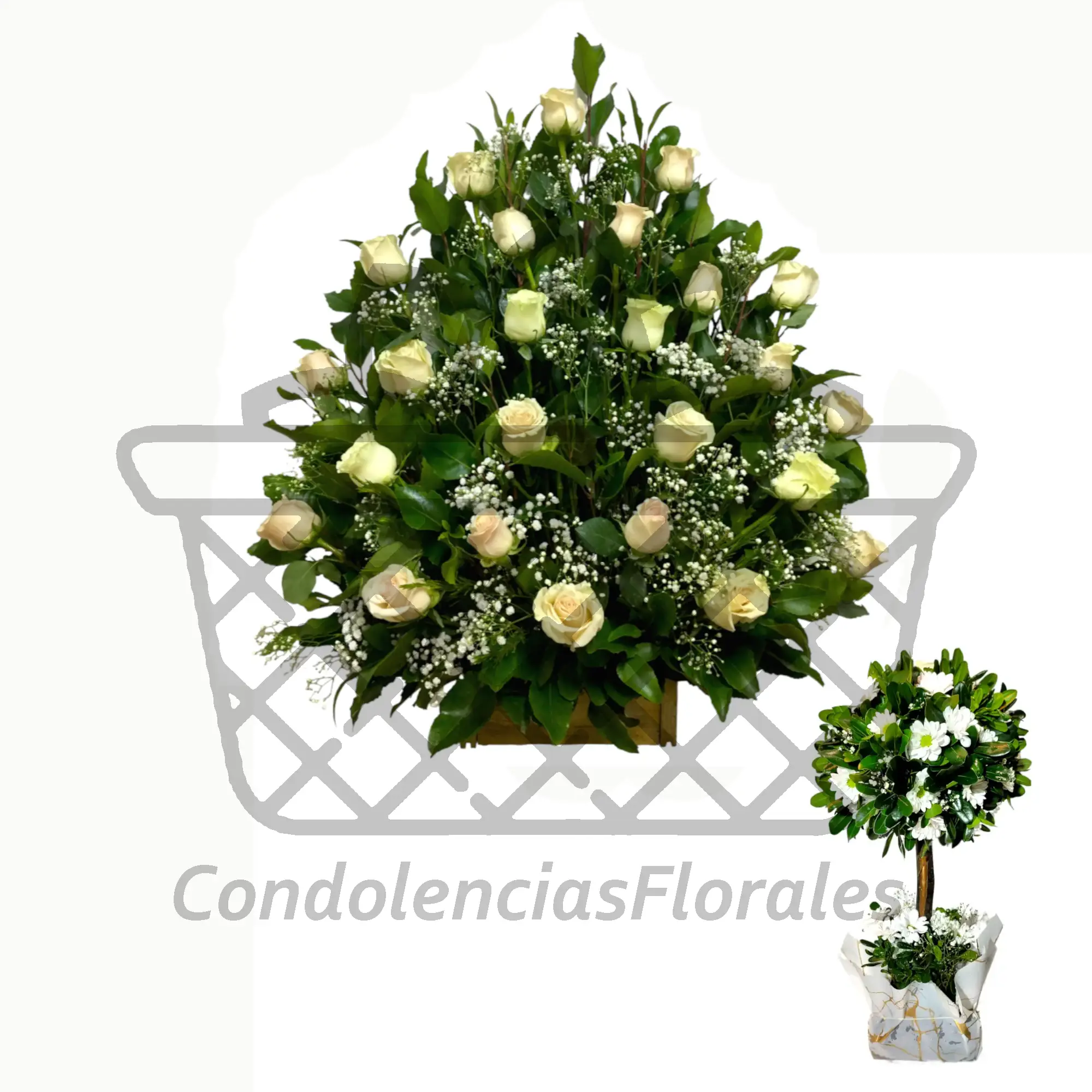 Pack de condolencias Arrimo de 25 rosas y árbol en blanco