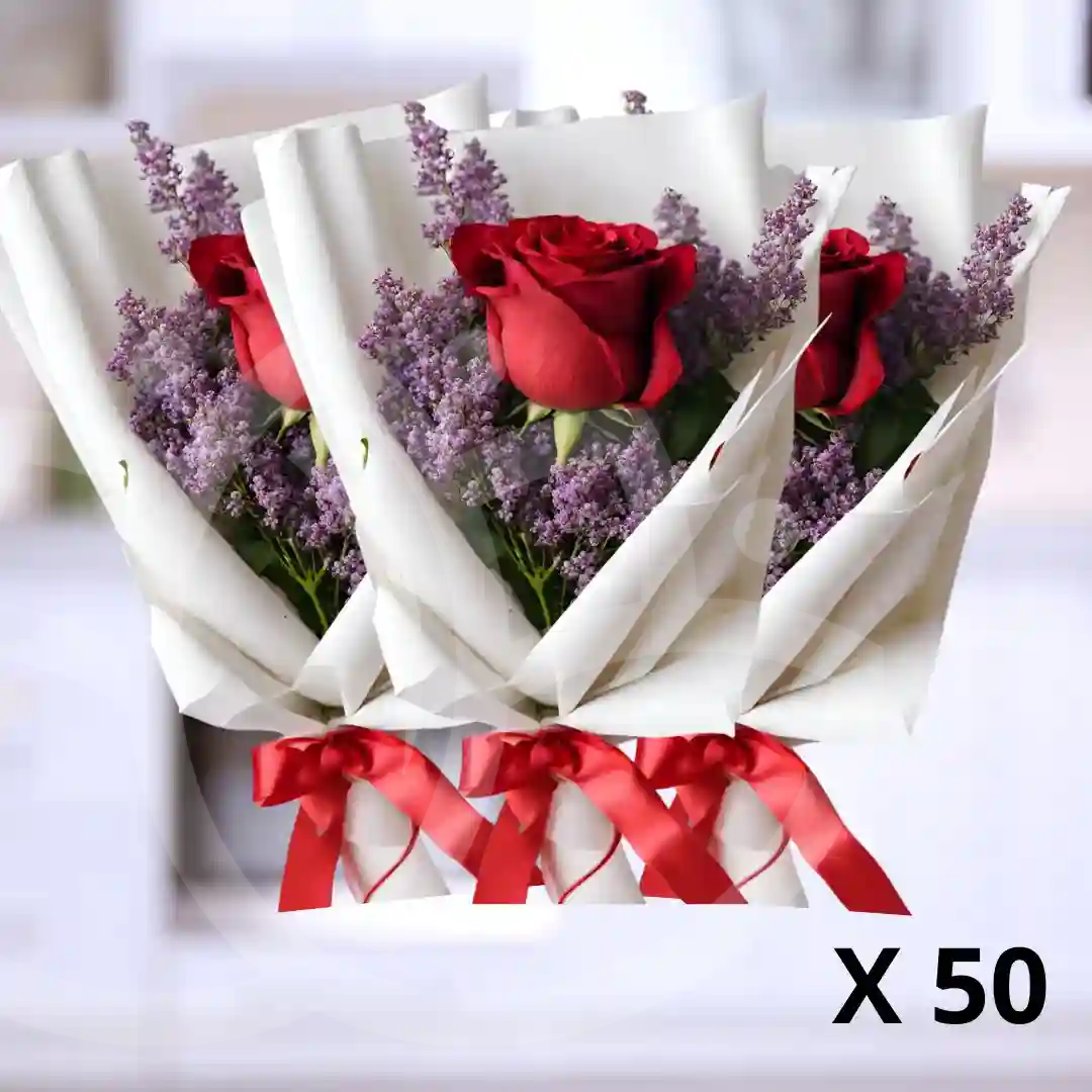 Pack de 50 ramos "Rosa Roja en Su Singularidad" 4