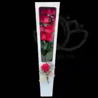 Box de 12 rosas rojas